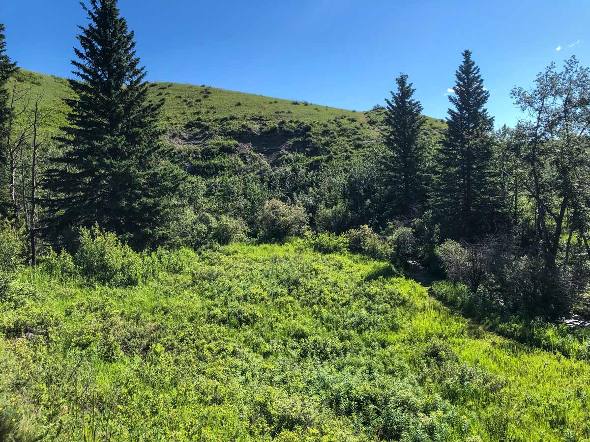 Big Spring Hill walking trail in Calgary Alberta