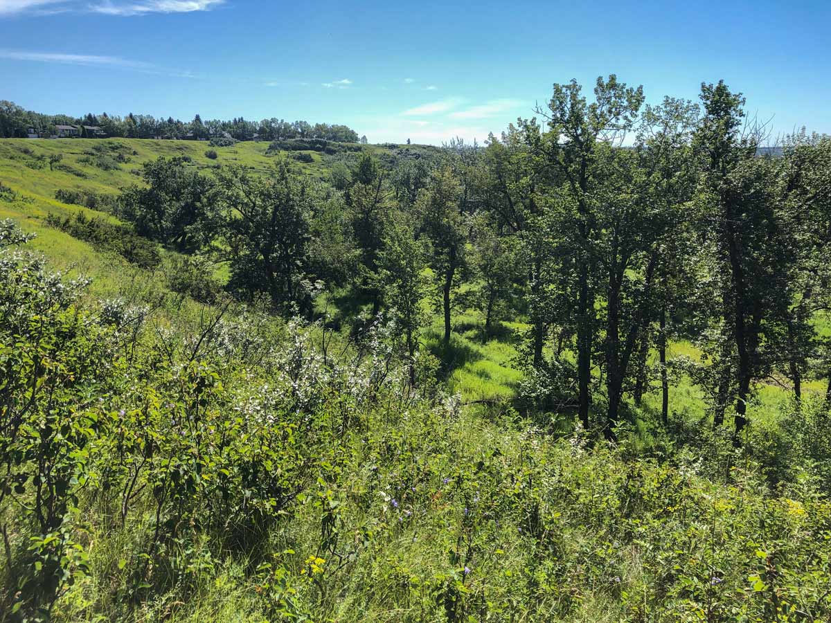 Beautiful walking trails around Fish Creek Ranch and Parkland Ridge in Calgary Alberta