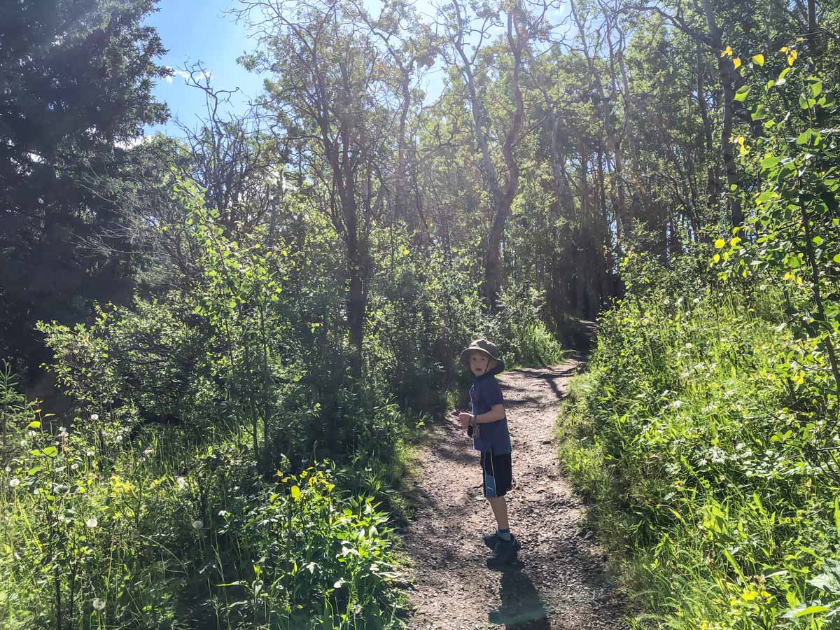 Boy walking through Big Spring Hill walking trail in Calgary Alberta