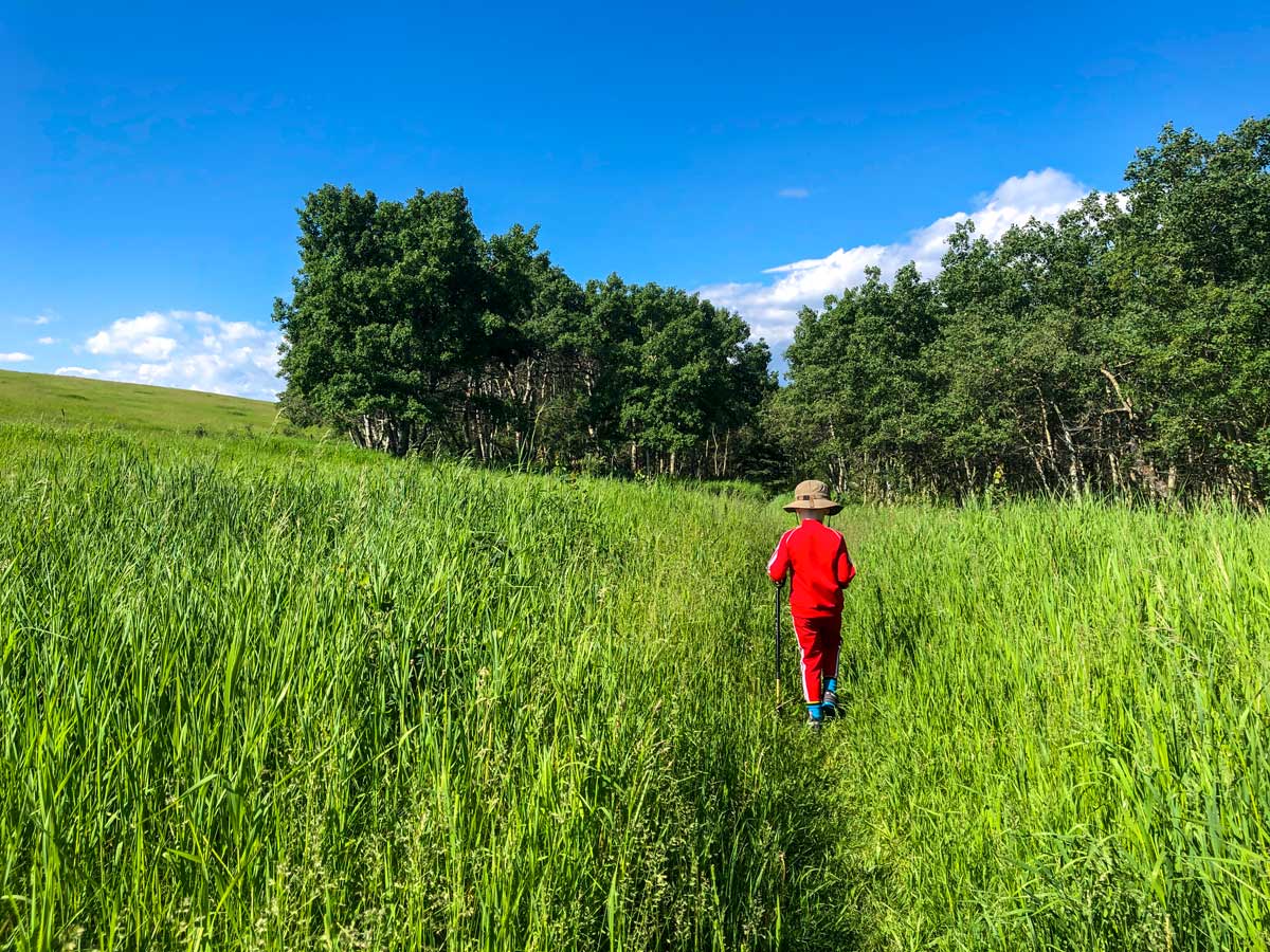 Young boy hiking Ann and Sandy trails in Calgary Alberta