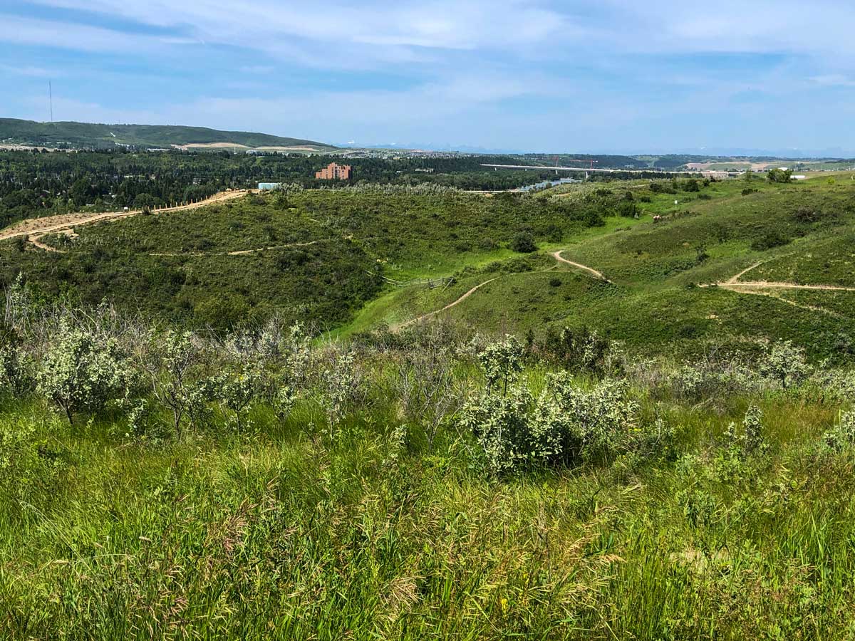 Walking pathways through Bowmont Park trials in Calgary Alberta