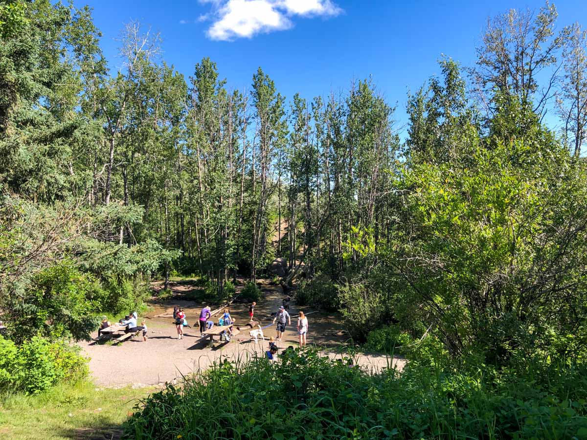 Beautiful trees and foliage along Big Spring Hill walking trail in Calgary Alberta