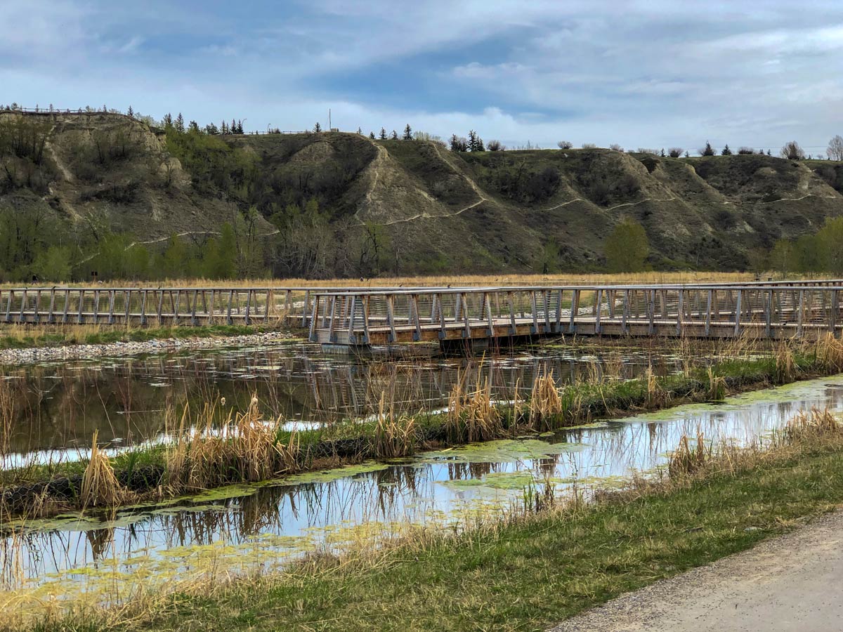 Walking pathways boardwalks through marsh area in Bowmont Park Calgary Alberta