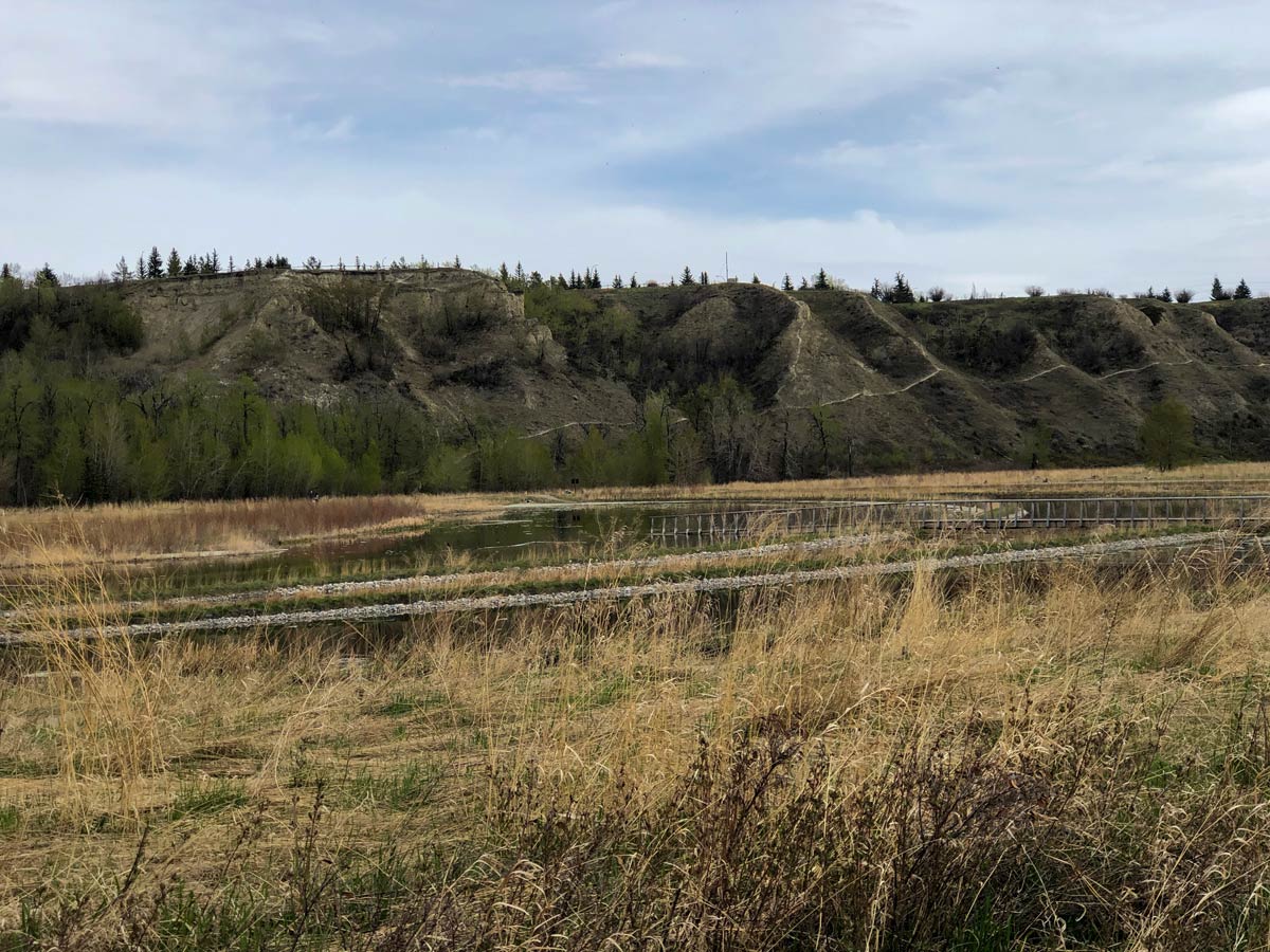 Grasslands and steep banks seen from walking trail through Bowmont Park Calgary Alberta