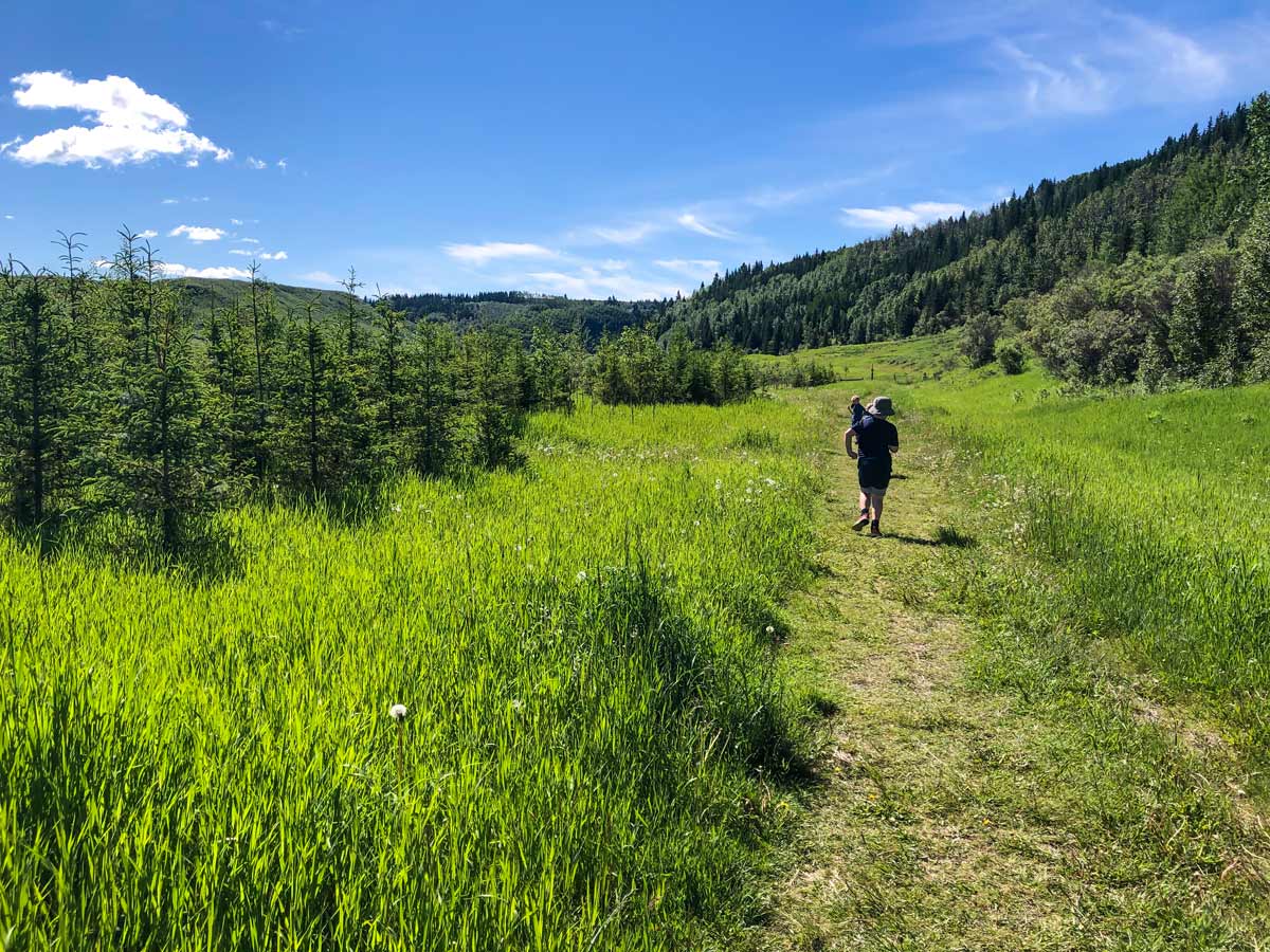 Hikers walking along Big Spring Hill walking trail in Calgary Alberta