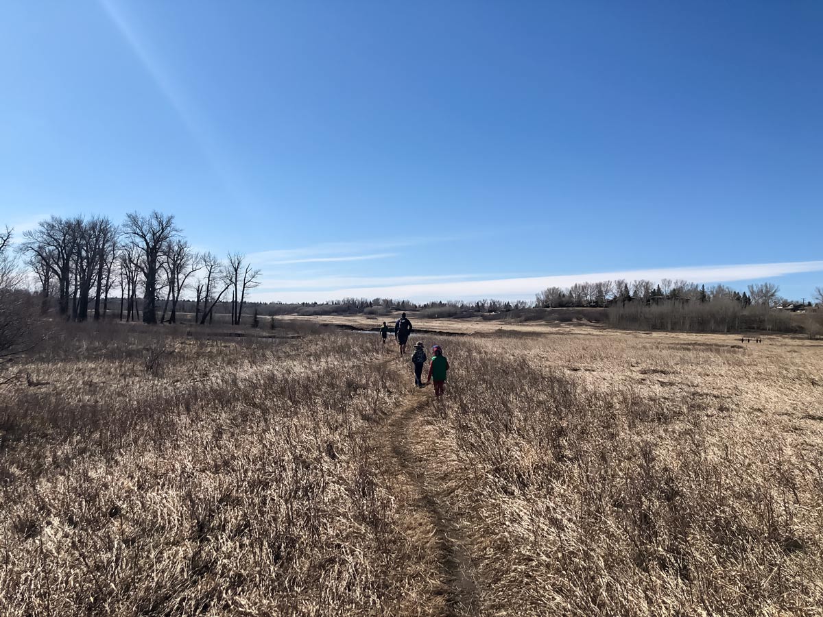 Autumn trek through Fish Creek Ranch and Parkland Ridge walking trails in Calgary Alberta