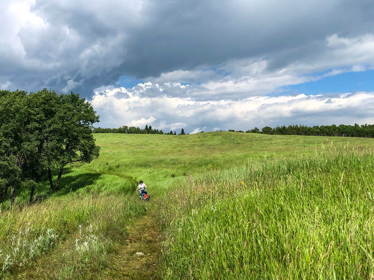 Light hiking walking trails through Ann and Sandy in Calgary Alberta