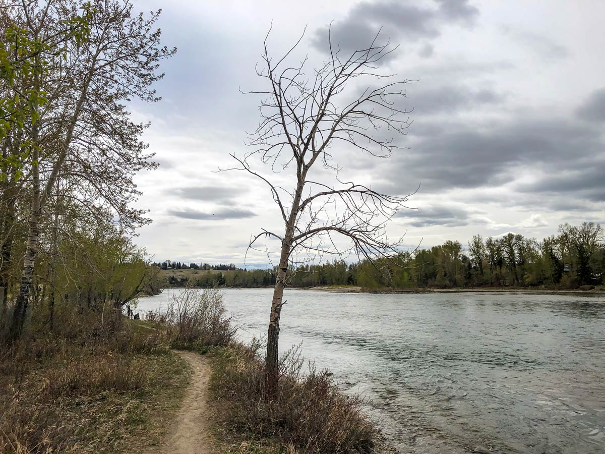 Riverside trail through Bowmont Park Calgary Alberta