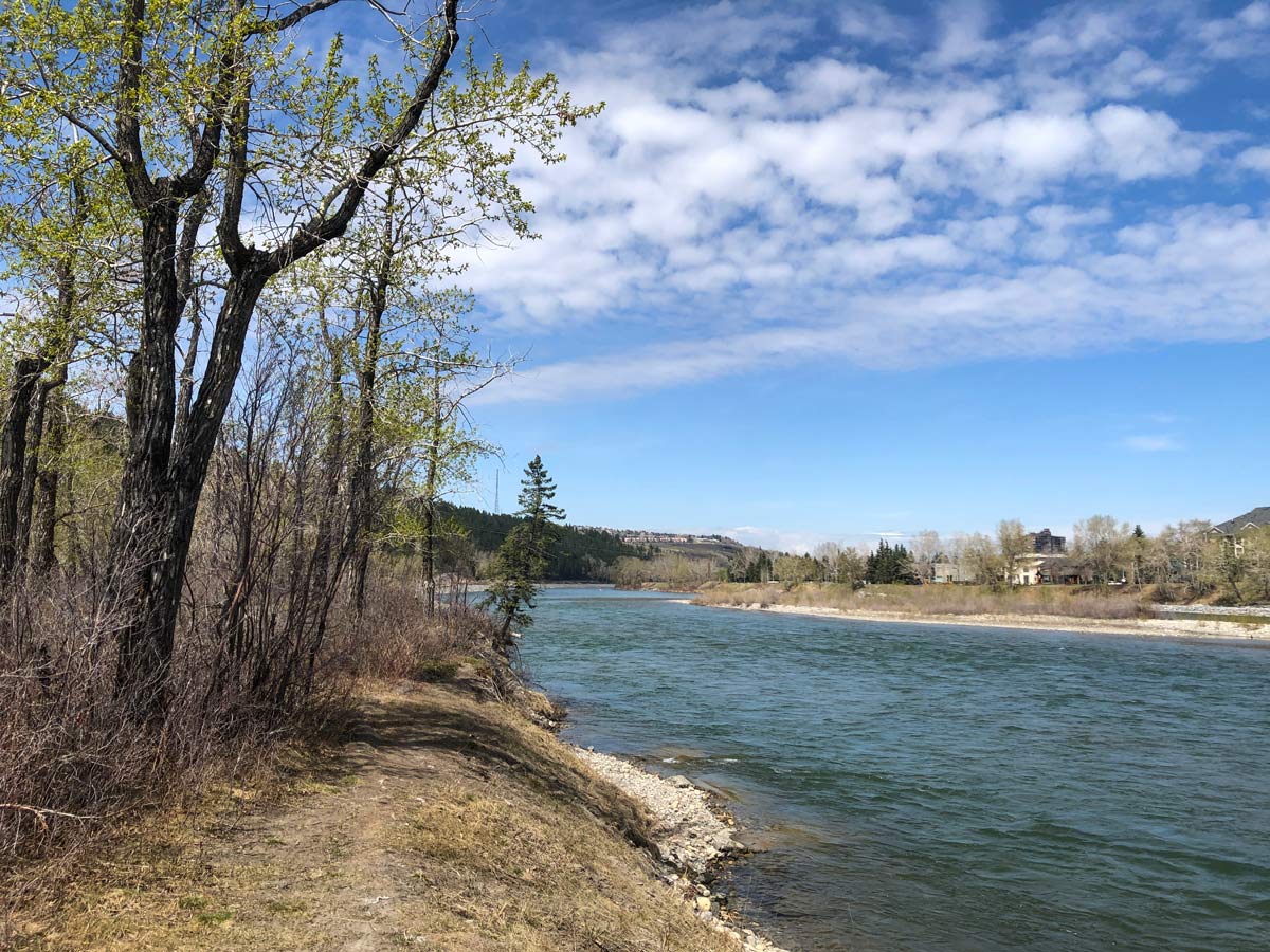 Riverside walk along Douglas Fir Trail walking trail in Calgary Alberta