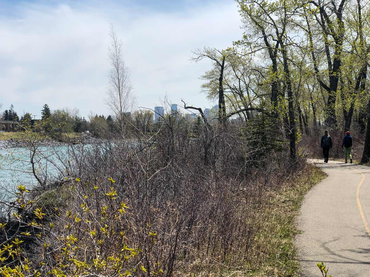 Beautiful Douglas Fir Trail walking trail in Calgary Alberta