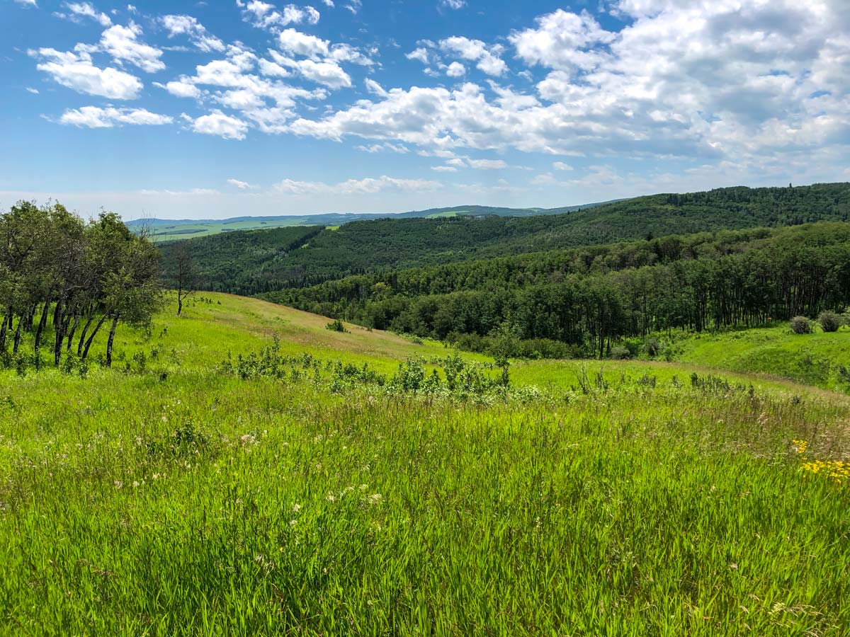 Beautiful views from walking trails through Ann and Sandy in Calgary Alberta