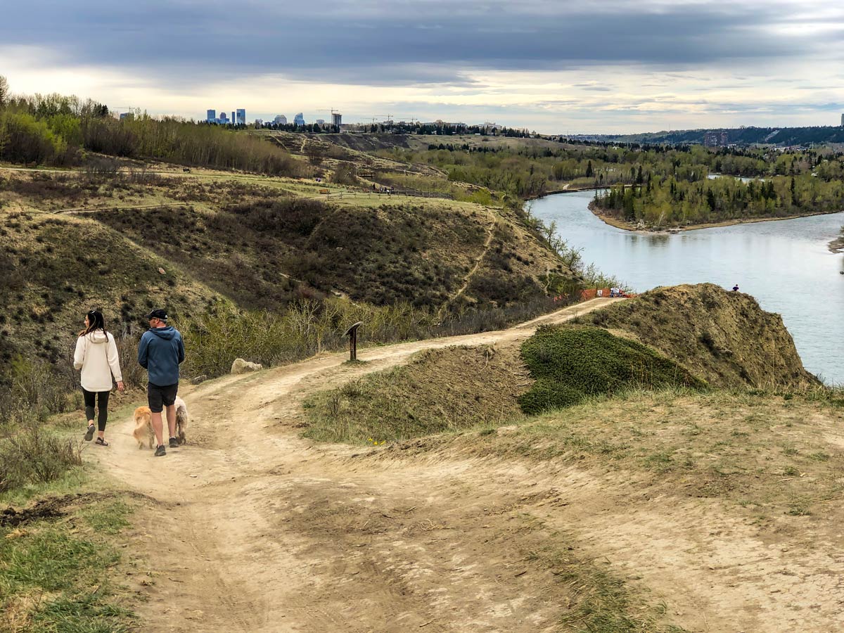 Strolling beside the river along Bowmont Park walking paths in Calgary Alberta