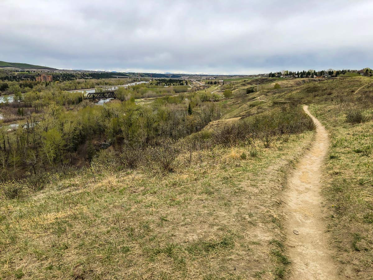 Dirt path through Bowmont Park walking paths in Calgary Alberta