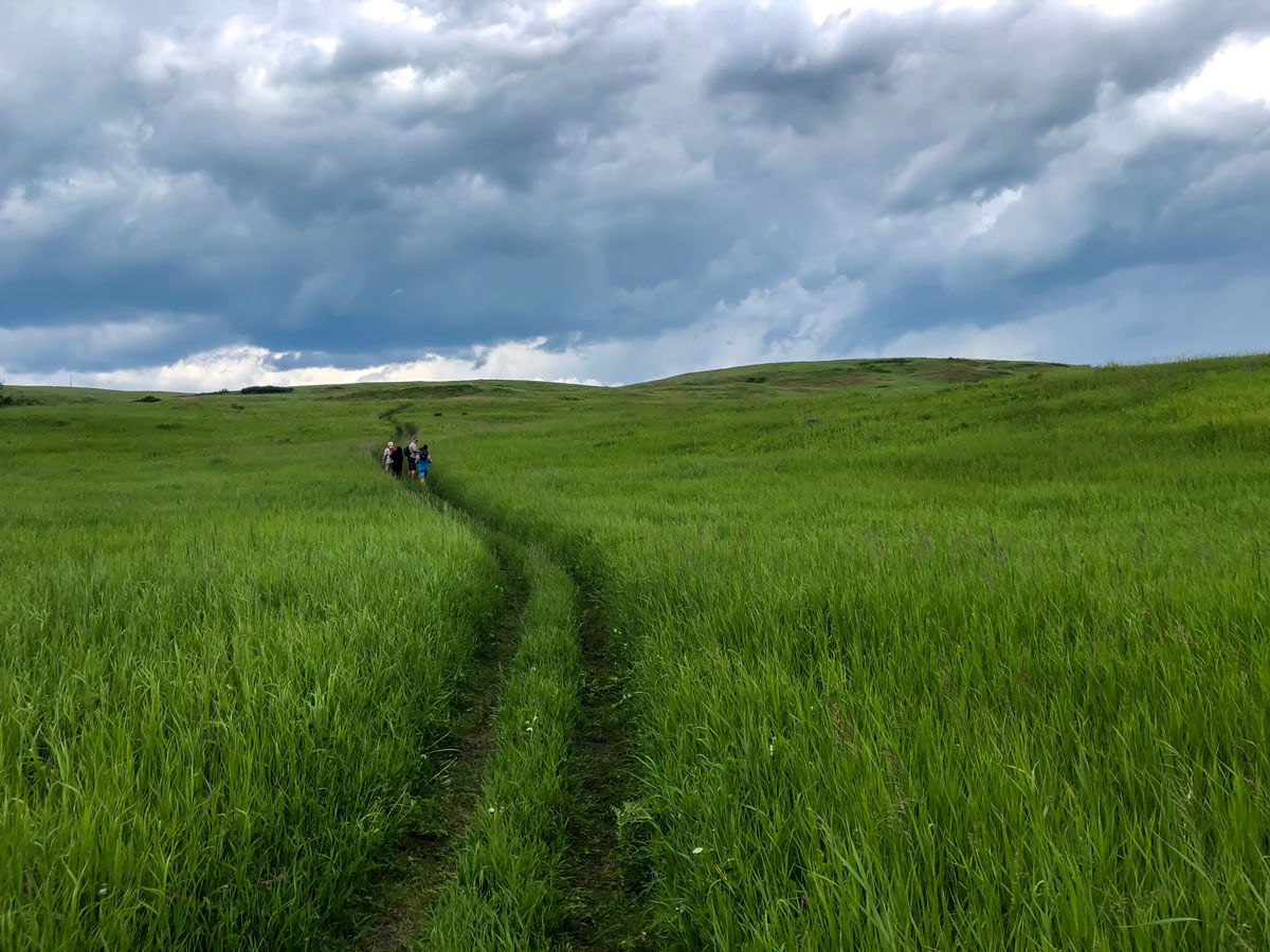 Hikers seen along Ann and Sandy Cross walking trails in Calgary Alberta