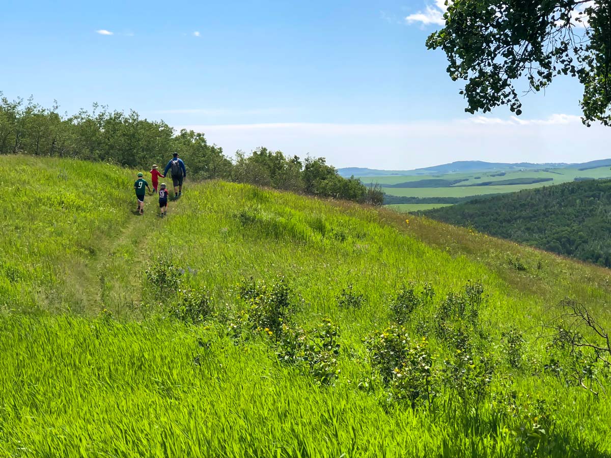 Beautiful walking for families along Ann and Sandy Cross walking trails in Calgary Alberta