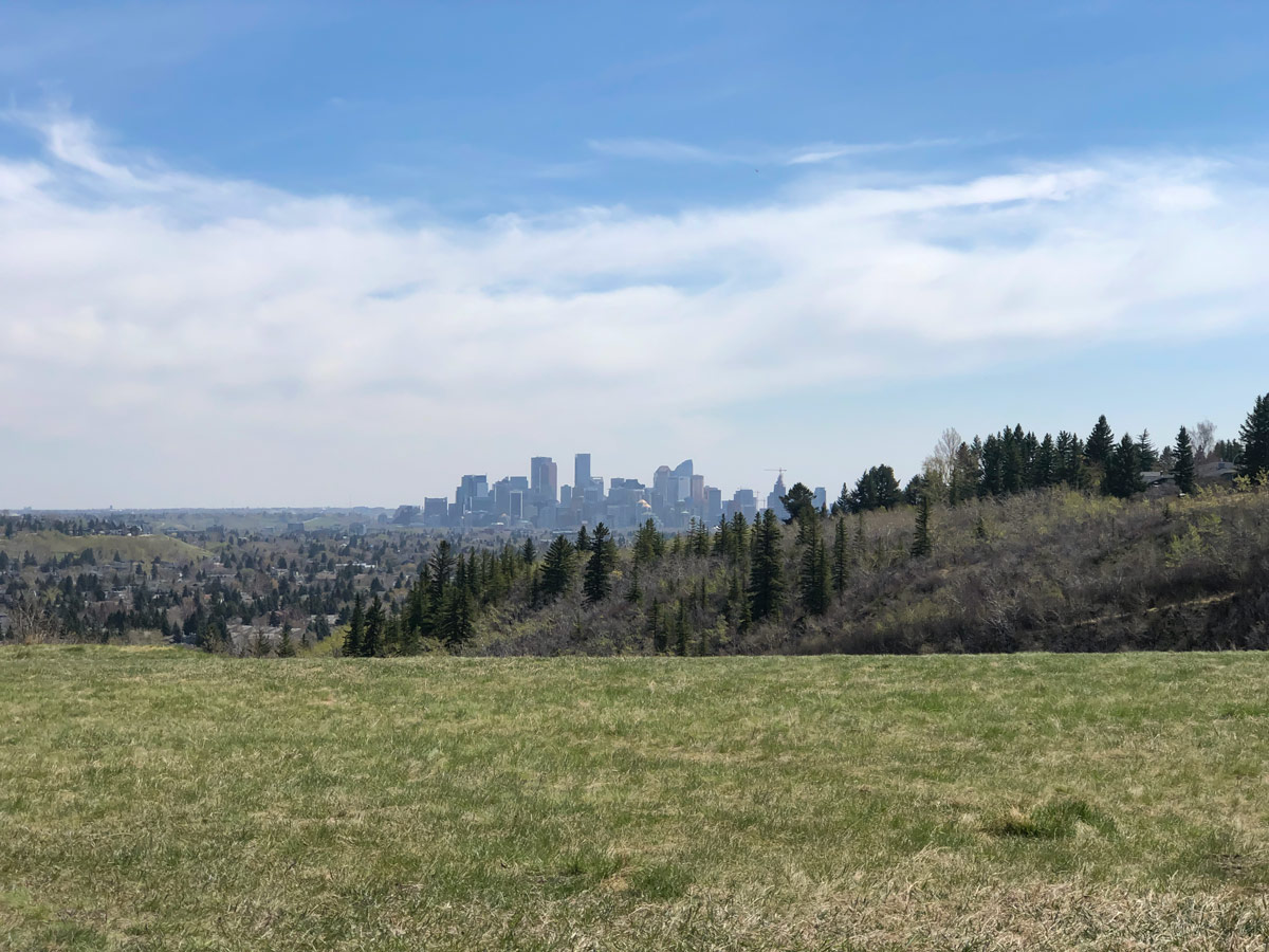Calgary Alberta city skyline seen along Douglas Fir walking trail