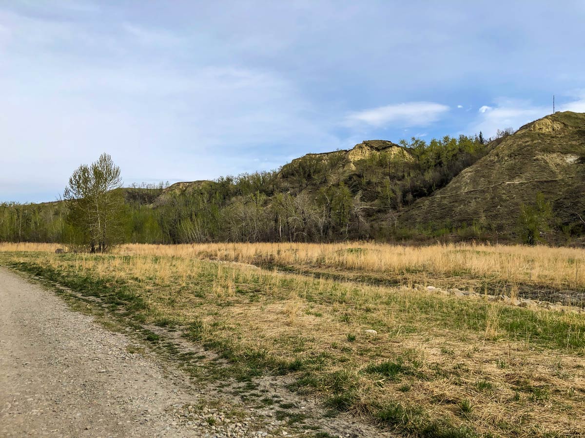 Dirt road through Bowmont Park walking paths in Calgary Alberta