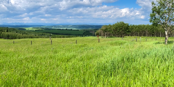 Ann & Sandy Cross Conservation