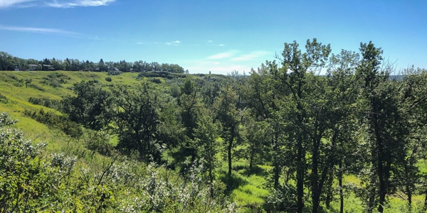 Fish Creek Ranch and Parkland Ridge