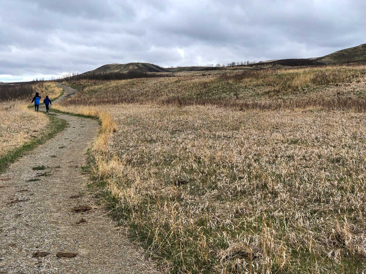 Winding path along Glenbow Ranche walking paths near Calgary Alberta