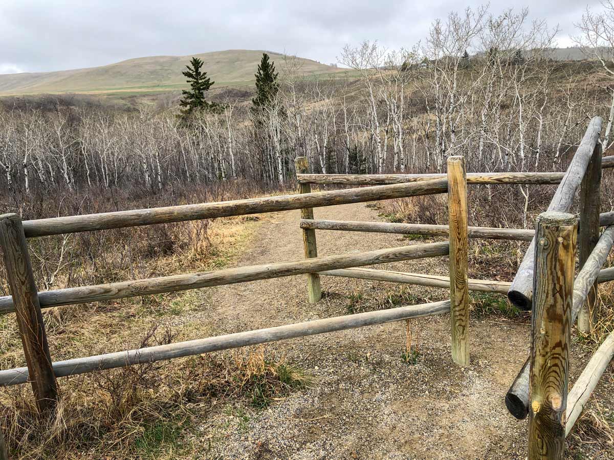 Gate along Glenbow Ranche near Calgary Alberta for walking and biking around the city