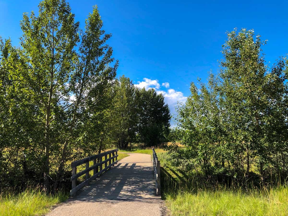 Bridge along walkway through Inglewood Bird Sanctuary