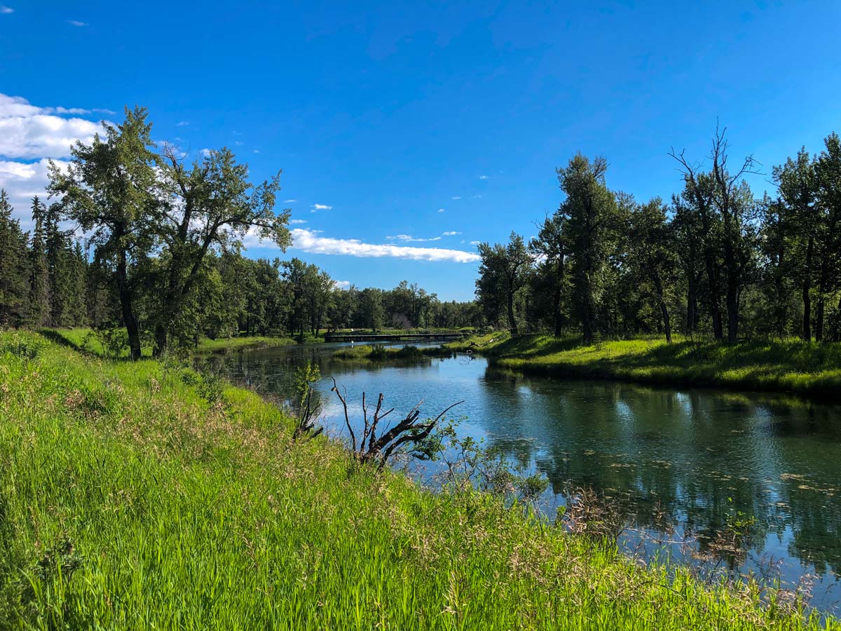 Beautiful river at the Inglewood Bird Sanctuary walking path in Calgary Alberta