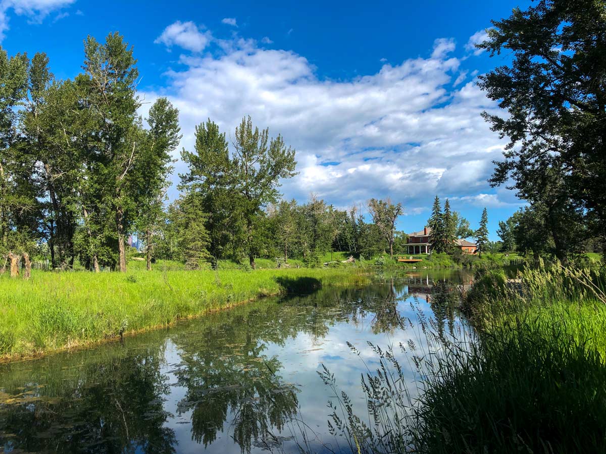 River pond and homes along Inglewood Bird Sanctuary walking path in Calgary Alberta