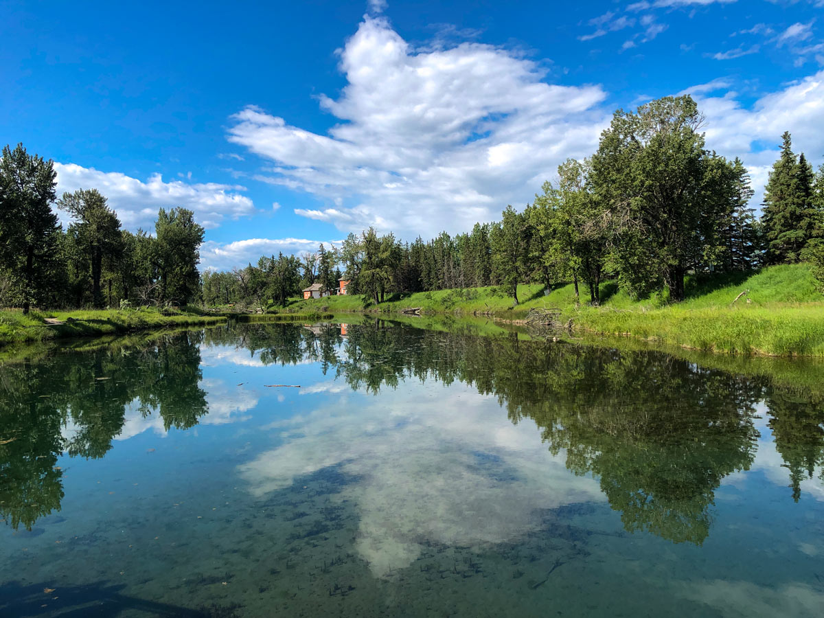 Beautiful Turquoise river along Inglewood Bird Sanctuary walking path in Calgary Alberta