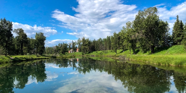 Inglewood Bird Sanctuary