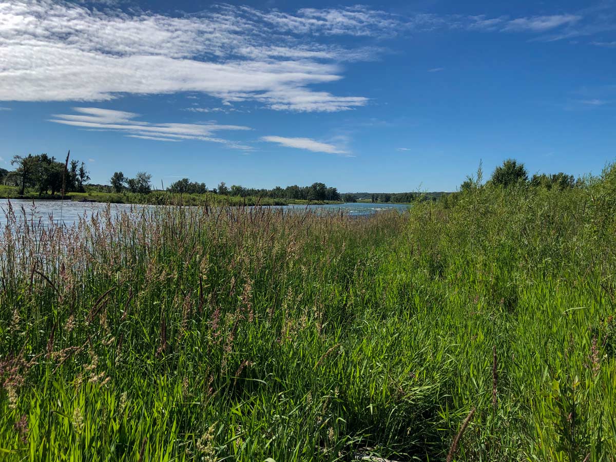 Beautiful Lafarge Meadows seen from walking trail in Calgary Alberta