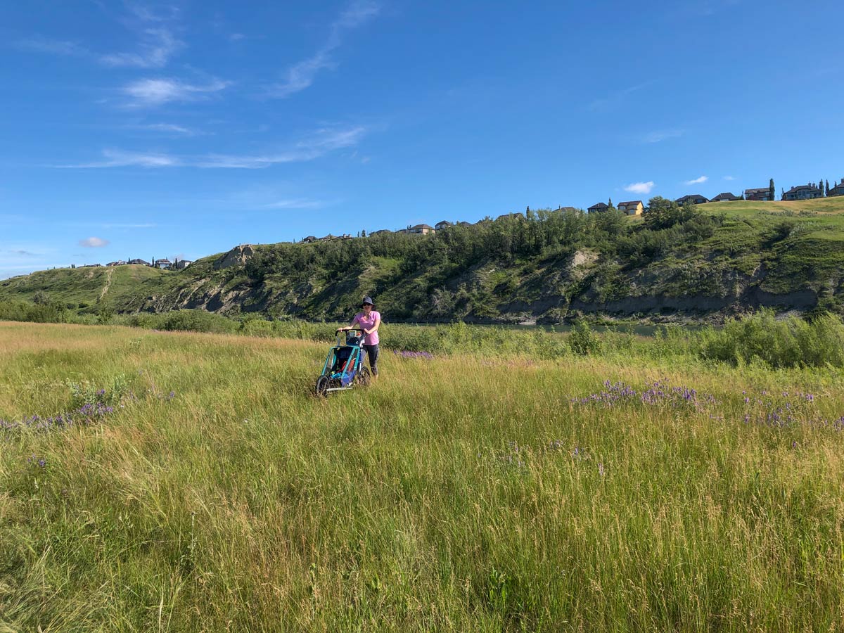 Family walking through tall grass of Lafarge Meadows seen from walking trail in Calgary Alberta