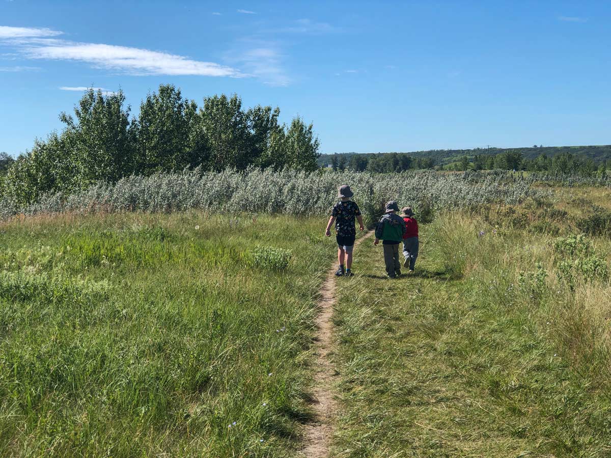 Lafarge Meadows perfect family hiking walking trail in Calgary Alberta