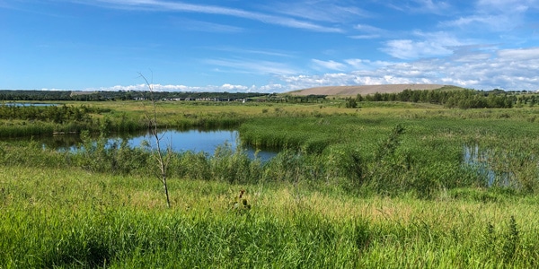 Lafarge Meadows