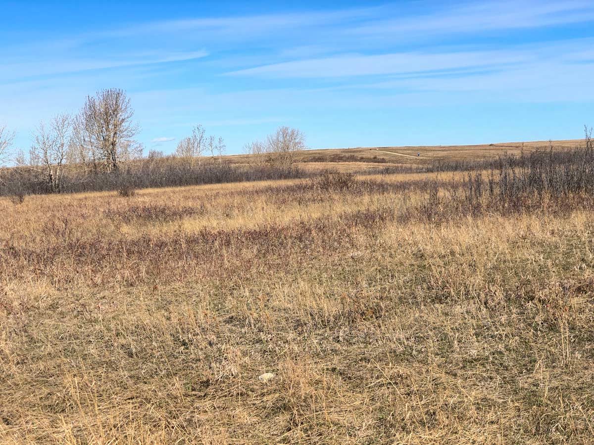 Prairie hills and views seen from Calgary city Nosehill Park pathways