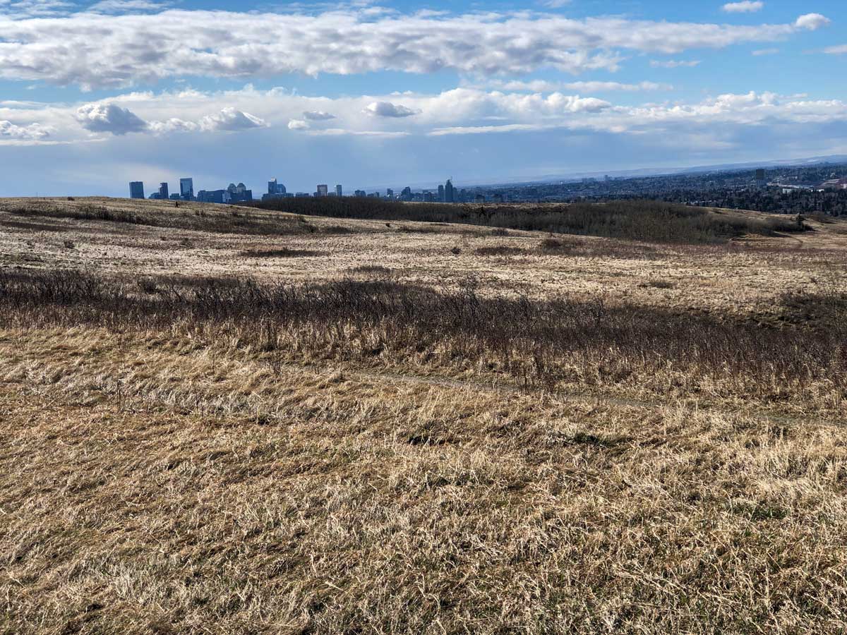 Calgary Skyline behind Nosehill Park pathways in Calgary Alberta