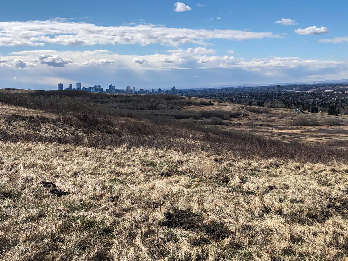 Beautiful views of the Calgary skyline from Nosehill Park walking biking trails
