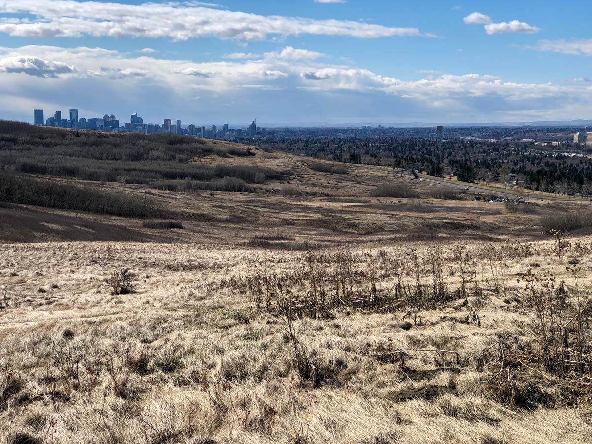 View of Calgary City Skyline from hiking trails in Nosehill Park in Calgary Alberta Canada