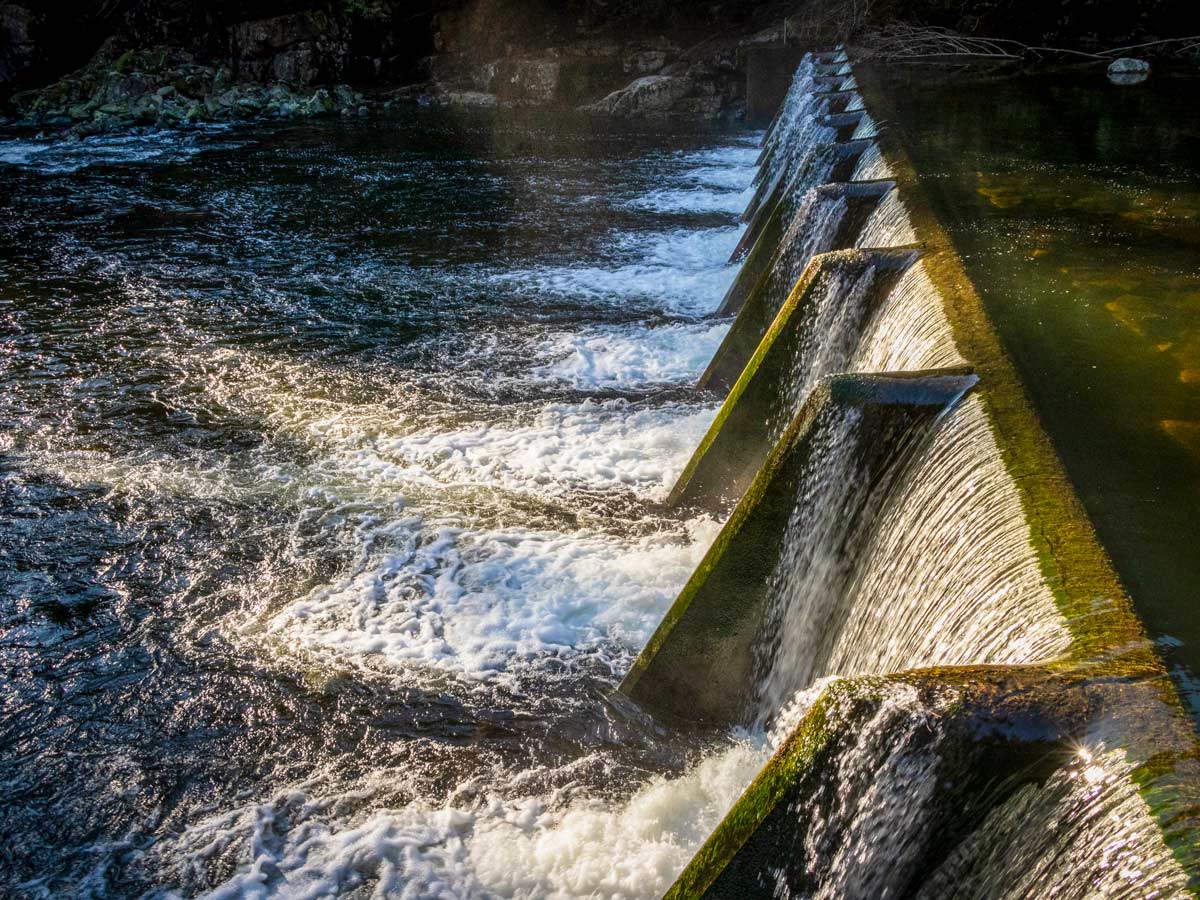 Water rushes over levvy along Capilano river hike on the North Shore of British Columbia