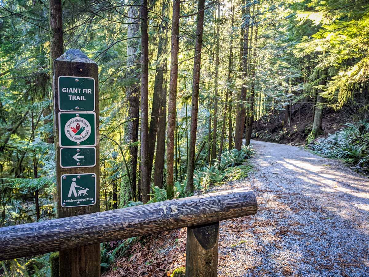 Hiking signpost Trans Canada Trail on hiking route to Capilano River on BC North Share