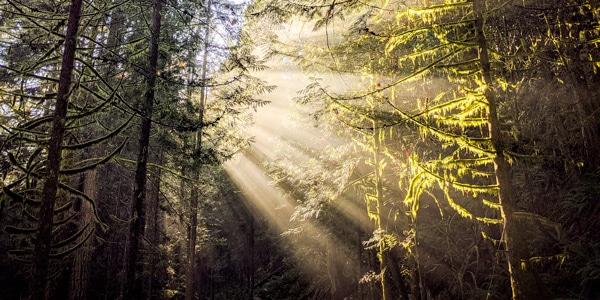 Capilano River Regional Park