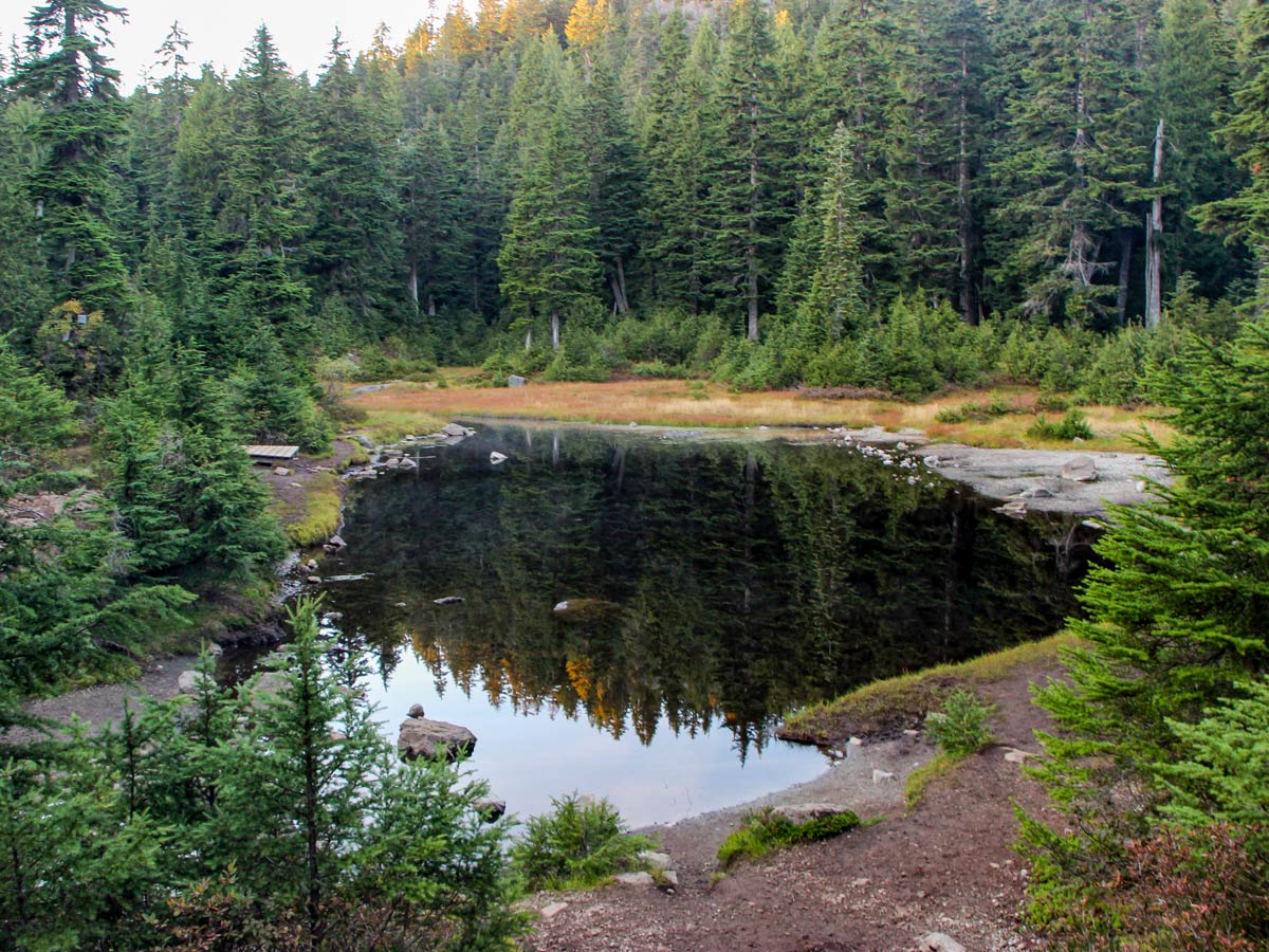 Pond alnog the hike up Dog Mountain in North Shore region of BC