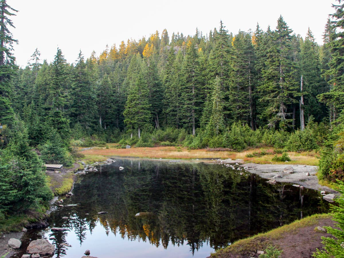 Hiking Dog Mountain Trail on British Columbias west coast North Shore region