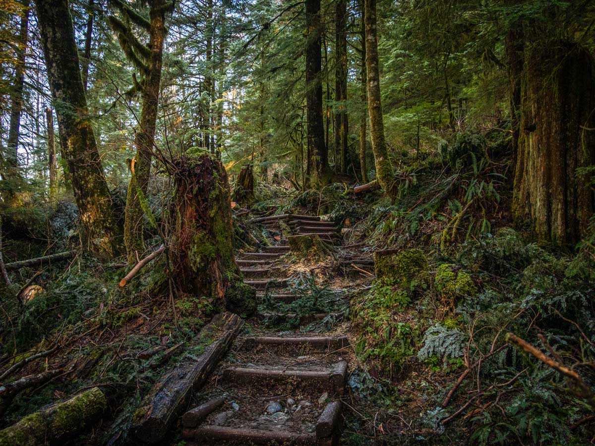 Sunlight forest path hiking through Hanes Valley in British Columbia North Shore region