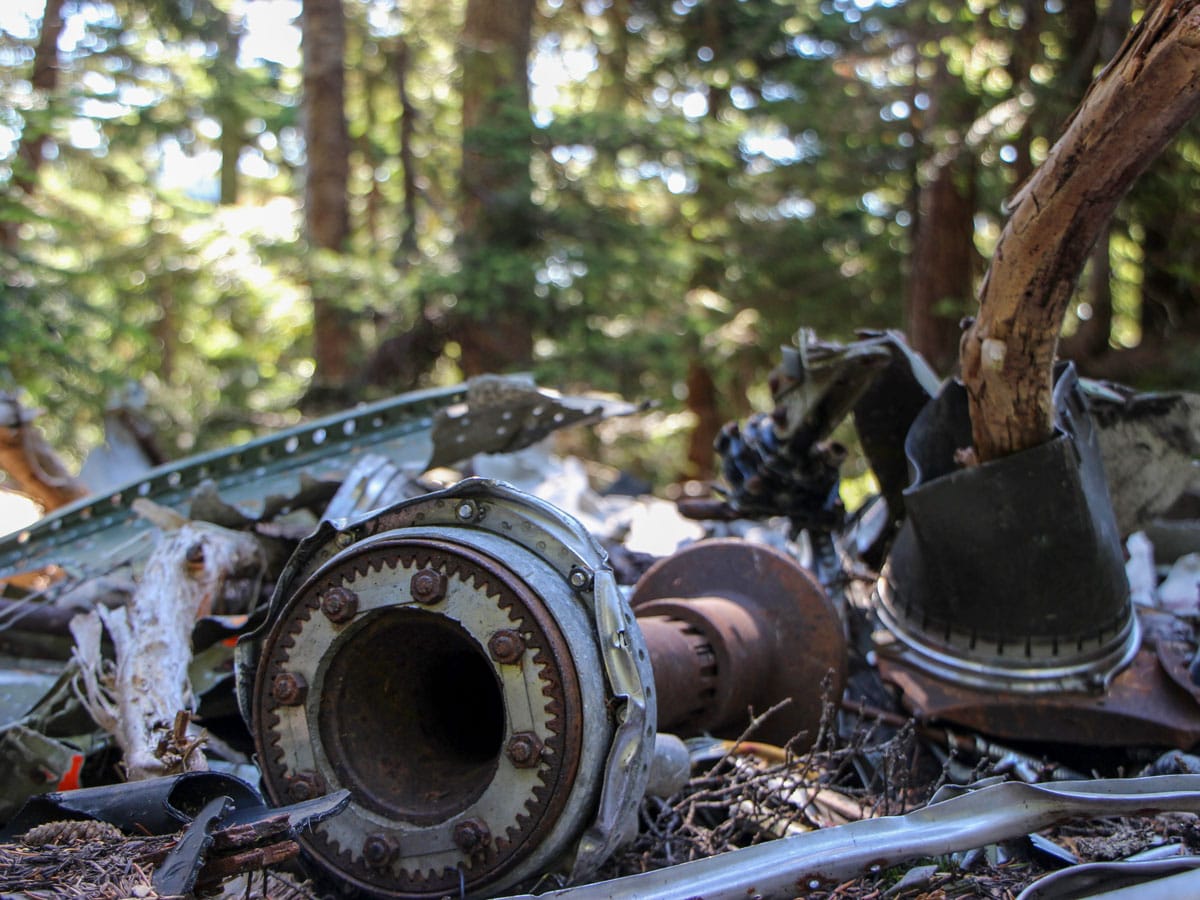 remains of plane crash in the forest on Mount Strachan North Shore BC