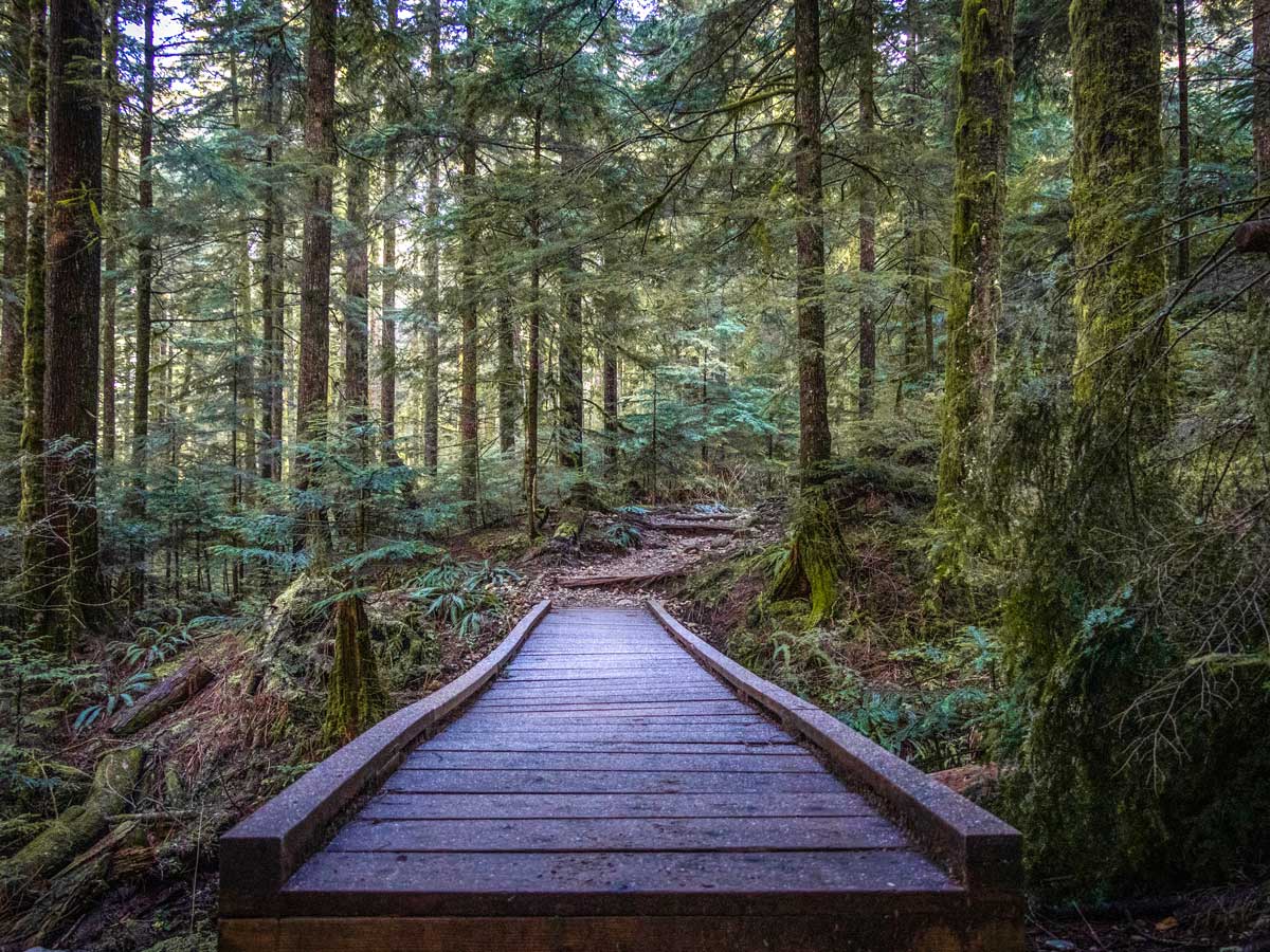 Looking over the boardwalk along the hiking trail to Norvan Falls