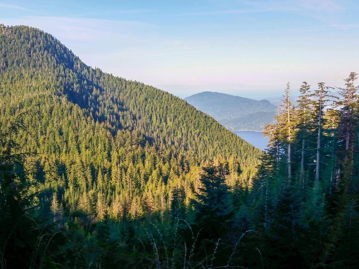 Sunny hike up to St Marks Summit in the North Shores area of coastal BC