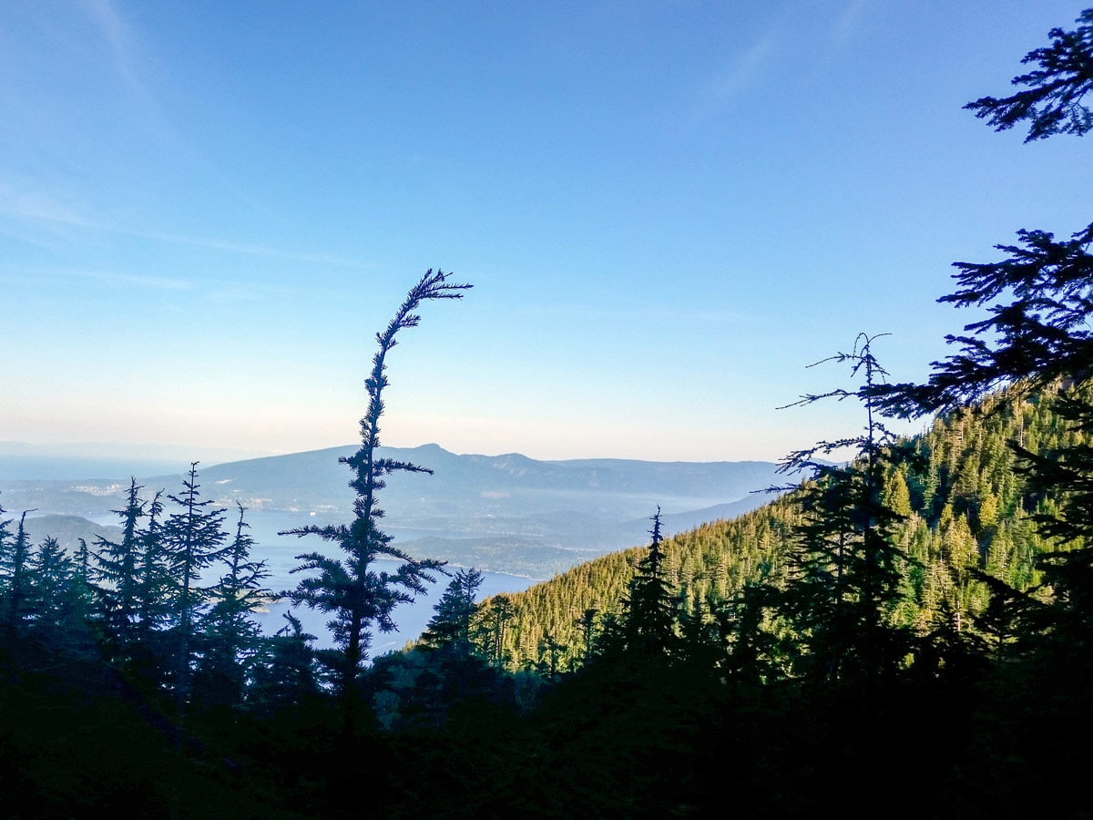 Looking down the valley from hiking trail to St Marks Summit in North Shores area