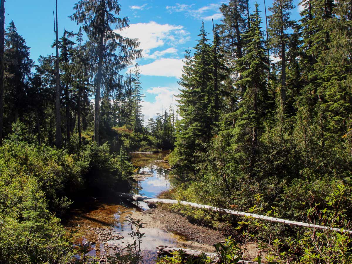 Hiking to Als Habrich Ridge near Squamish British Columbia