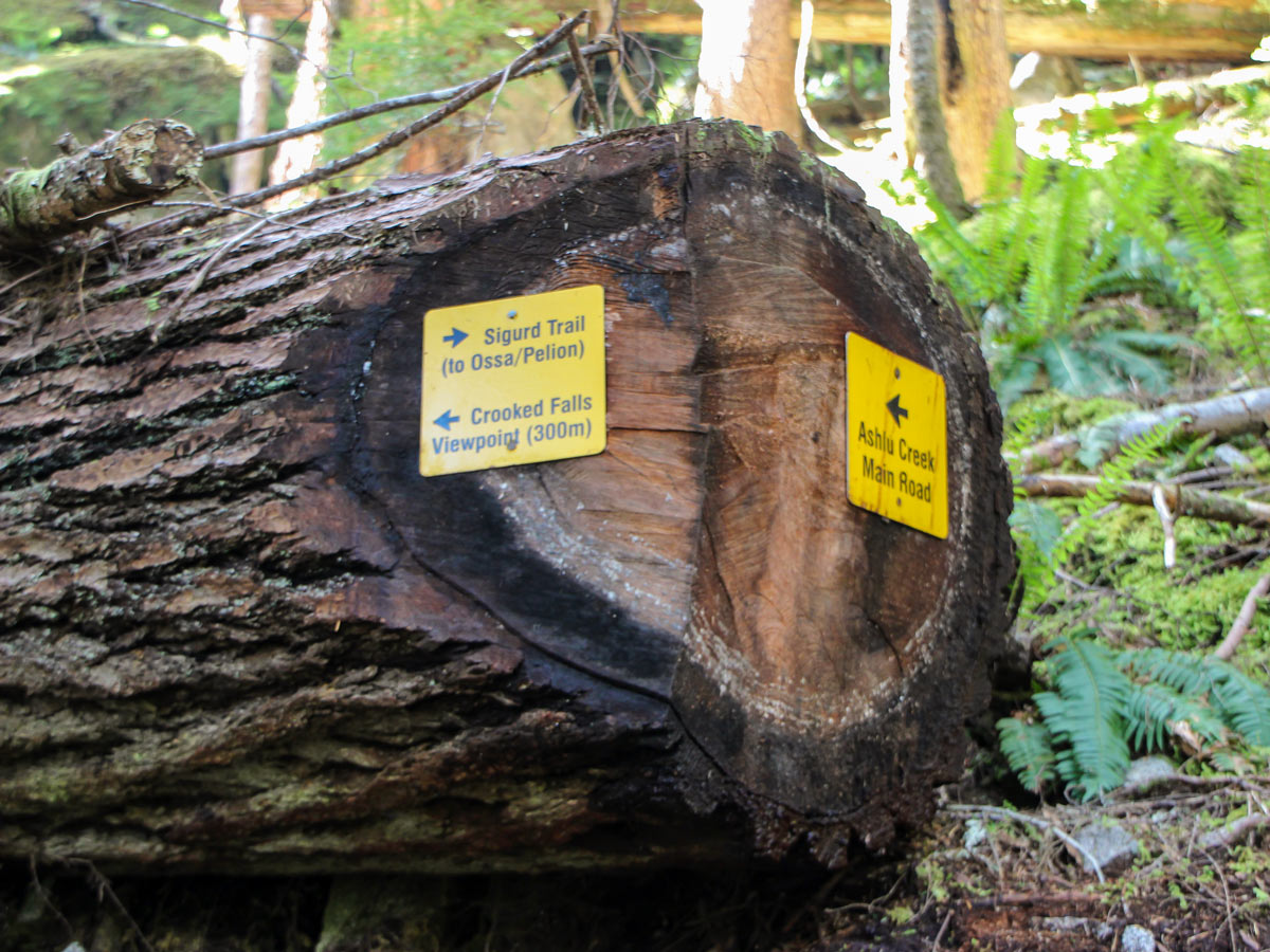 Trail sign along Crooked Falls hiking trail near Squamish British Columbia